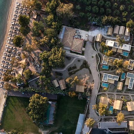 Ergon Beach House Nikiti المظهر الخارجي الصورة