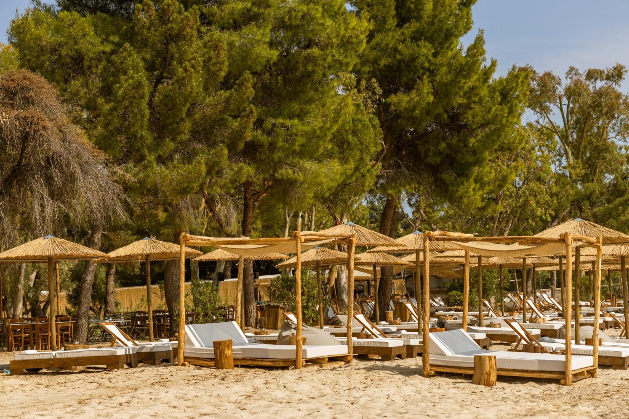 Ergon Beach House Nikiti المظهر الخارجي الصورة